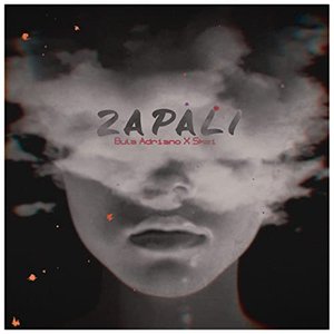 Zapali (feat. Skzi) - Single