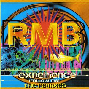 Experience (Follow Me) (Remixes)