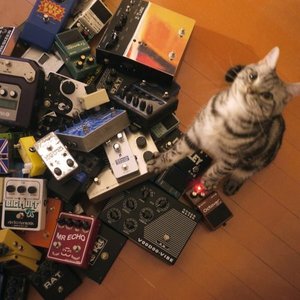 東京酒吐座(Tokyo Shoegazer) のアバター