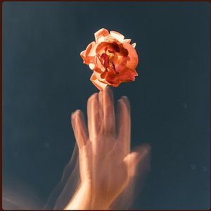 Plastic Roses