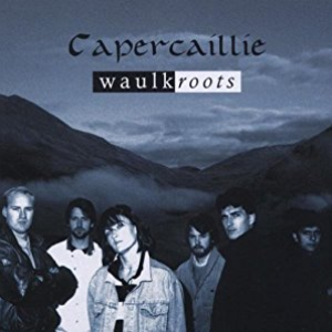 Waulkroots cover