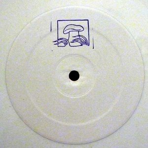 OL – True White