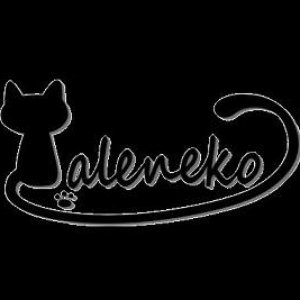 Taleneko 的头像