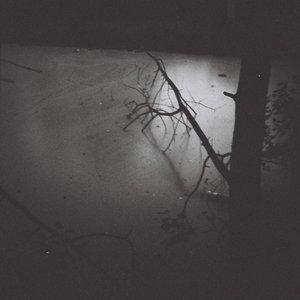 Night Serenity