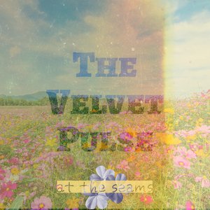 The Velvet Pulse のアバター