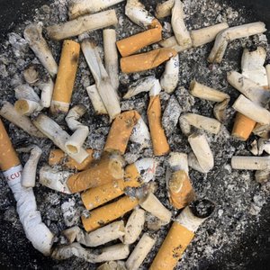 Peter's Last Fag