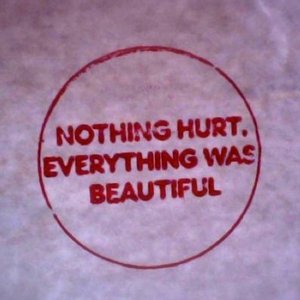 Nothing Hurt, Everything Was Beautiful