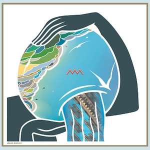 Mosir Memoir cover