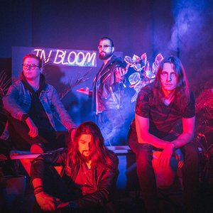 In.Bloom 的头像