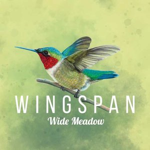 Wide Meadow (Wingspan Original Video Game Soundtrack) - Single