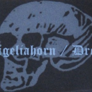 Ligeliahorn / Dreun