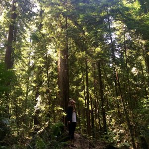 The More We Find (Sister IV)