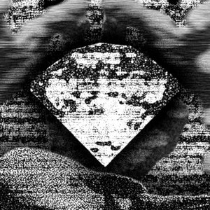 Floresta negra - Single