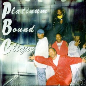 Platinum Bound Clique 的头像