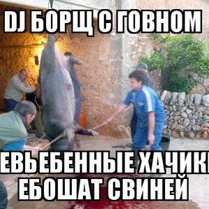 Невьебенные Хачики Ебошат Свиней