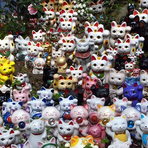 Maneki Neko のアバター