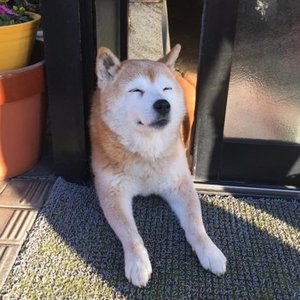 Tysu 的头像