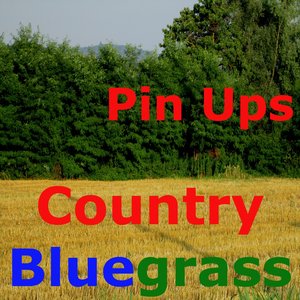 Country Bluegrass (Banjo & Pedal Steel Guitar)