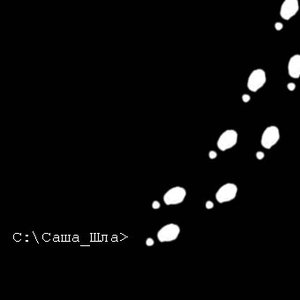 Саша Шла 的头像