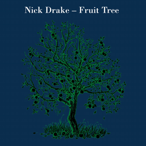 Nick Drake - Fruit Tree [disc 1] - Zortam Music