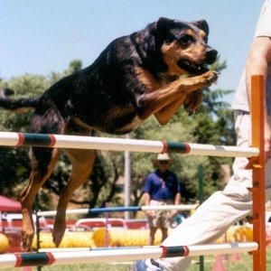 Jump