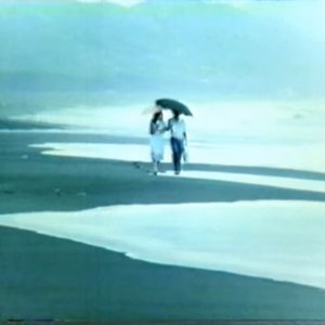 海岸を下って