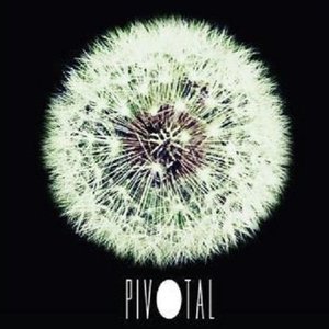 pivotal 的头像