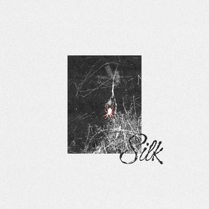 Silk