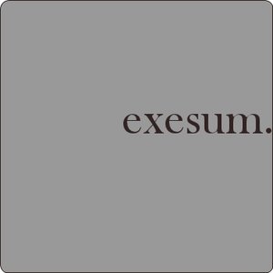 Exesum 的头像