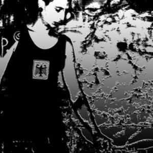 Totonizer 的头像