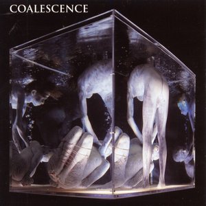 Coalescence