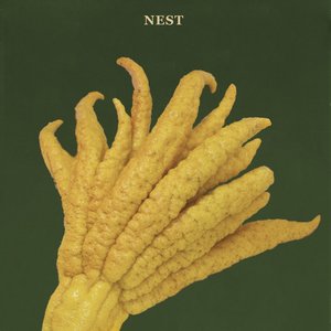 Nest