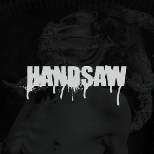 HandSaw 的头像