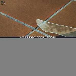 Missing You Now - Single
