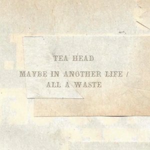 Maybe In Another Life/All a Waste - Single