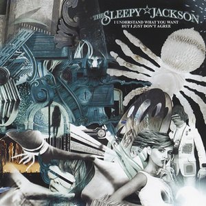 I Understand What You Want But I Just Don'T Agree