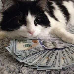 all i want is bands