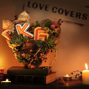 LOVE COVERS