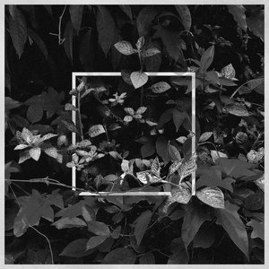fragments of confusion / sleep paralysis EP