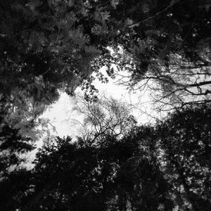 Mind's Eye