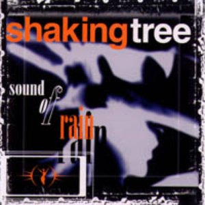 Sound of Rain