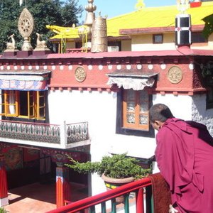 Avatar for The Monks Of The Dip Tse Chok Ling Monastery