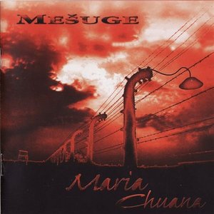 Mešuge