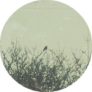 the death from lack of happiness 的头像