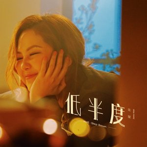 低半度 - Single