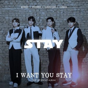 I Want You Stay