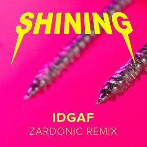 IDGAF (Zardonic Remix)