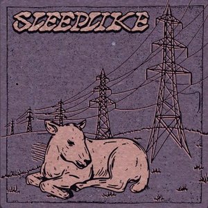 Sleeplike 的头像