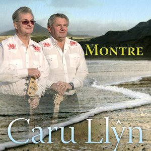 Caru Llyn