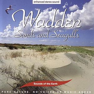 Wadden - Sands And Seagulls